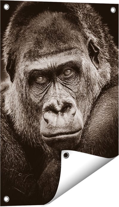 Gards Tuinposter Gorilla - Zwart Wit - 40x60 cm - Tuindoek - Tuindecoratie - Wanddecoratie buiten - Tuinschilderij