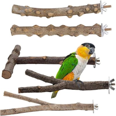 Jouets premium Haute Qualité Perchoir perroquet accessoires cage à oiseaux branches d'arbres en bois pour oiseaux perchoirs pour oiseaux set de perchoirs oiseau