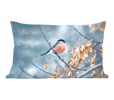 Sierkussens - Kussentjes Woonkamer - 60x40 cm - Roodborstje - Vogel - Sneeuw - Herfstbladeren