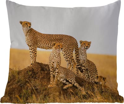 Tuinkussen - Cheetah - Gras - Natuur - Savanne - 40x40 cm - Weerbestendig