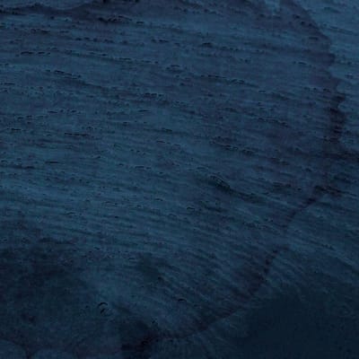 Multicast Dynamics - Aquatic System (CD)