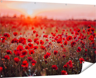 Gards Tuinposter Rode Klaprozen Bloemenveld Zonsondergang - 150x100 cm - Tuindoek - Tuindecoratie - Wanddecoratie buiten - Tuinschilderij