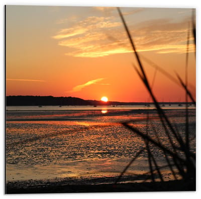 Dibond - Ondergaande Zon bij Zee En Gras - 50x50cm Foto op Aluminium (Wanddecoratie van metaal)