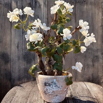 Seta Fiori - Rozenboom met Witte Tuinrozen – 55 cm Hoog – Op Echt Hout – Net Echt – Exclusief Pot