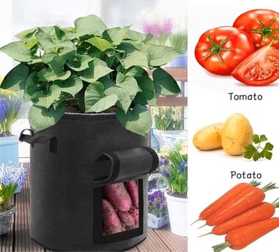 CHPN - Kweekzak - Kweekzak voor Aardappelen, Wortels & Tomaten - Groeizak - Plantenzak - Moestuin - Moestuinzak - Groenten Zelf Kweken - Zwart - 30CM diameter - 27L - 2 stuks