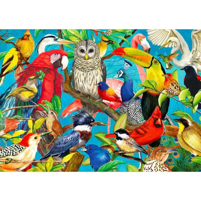Enjoy Puzzle puzzel Federn über Federn - 1000 stukjes puzzelplezier.