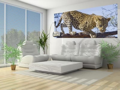 Leopard Tree Photo Wallcovering