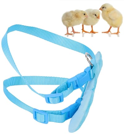 Allecto - Verstelbaar ganzenharnas - Eend wandelriem - Blauw S - Loopharnas voor huisdieren - Geschikt voor eenden en kippen