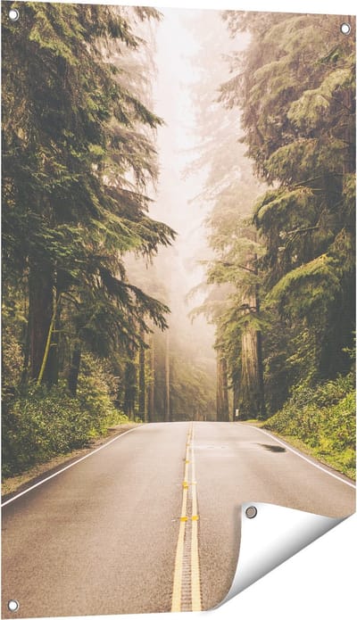 Gards Tuinposter Highway in Californië Omring met Bos - 60x90 cm - Tuindoek - Tuindecoratie - Wanddecoratie buiten - Tuinschilderij