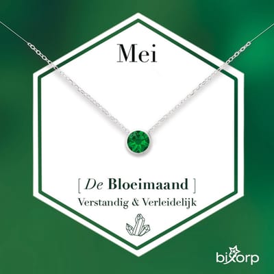 Bixorp Geboortesteen Ketting Mei - Zilverkleurig Roestvrij Staal met Zirkonia Hanger - Stainless Steel - Smaragd