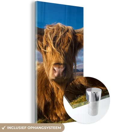 MuchoWow® Glasschilderij 20x40 cm - Schilderij acrylglas - Schotse Hooglander - Dieren - Gras - Foto op glas - Schilderijen