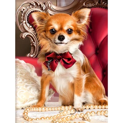 Diamant mosaïque Animal chien 5d diamant peinture broderie point de croix décor à la maison 20X30CM beige