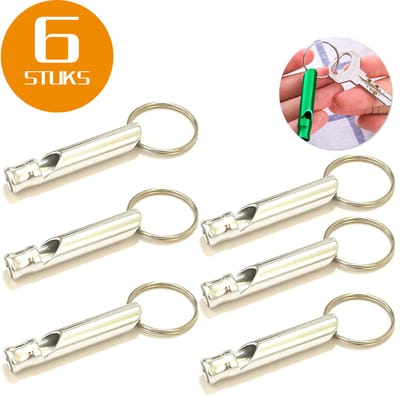 Colorful Sun® Metalen Noodfluit 6 Stuks – Alarmfluit 120 dB met Sleutelhanger – Reddingsfluit voor Outdoor, Wandelen, Camping, Survival & Sport – Hondenfluit – Sport- & Scheidsrechterfluit – Zilver