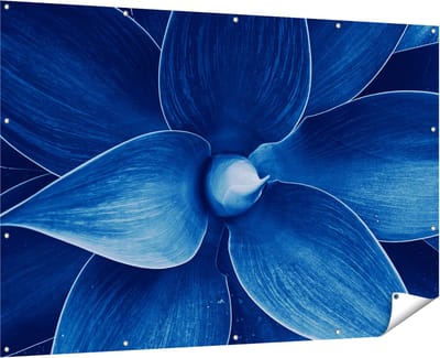 Gards Tuinposter Blauwe Agave Plant - Bloem - 180x120 cm - Tuindoek - Tuindecoratie - Wanddecoratie buiten - Tuinschilderij