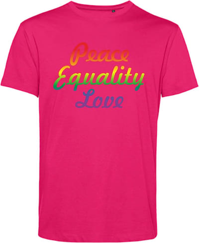 T-shirt Peace Equality Love | Gay pride shirt kleding | Regenboog kleuren | LGBTQ | Roze | maat XS