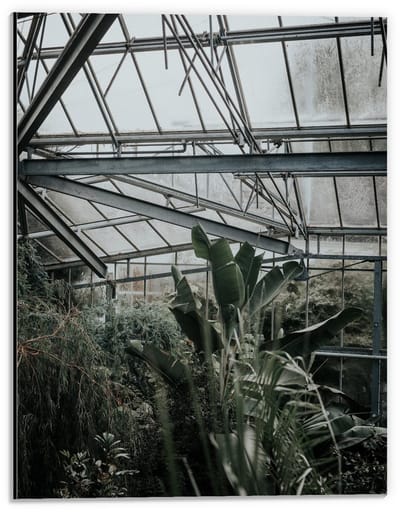 Dibond - Kas met Planten  - 30x40cm Foto op Aluminium (Wanddecoratie van metaal)