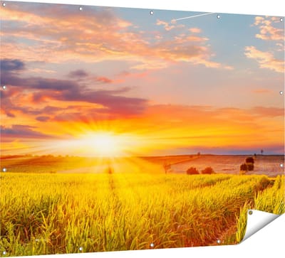 Gards Tuinposter Zonsopgang op het Ma�sveld - 160x120 cm - Tuindoek - Tuindecoratie - Wanddecoratie buiten - Tuinschilderij