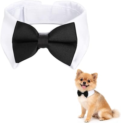 Verstelbare Hondenstrik Kostuum met Bevestigingshalsband voor Kleine Honden en Katten - Zwart, Perfect voor Feestjes en Evenementen