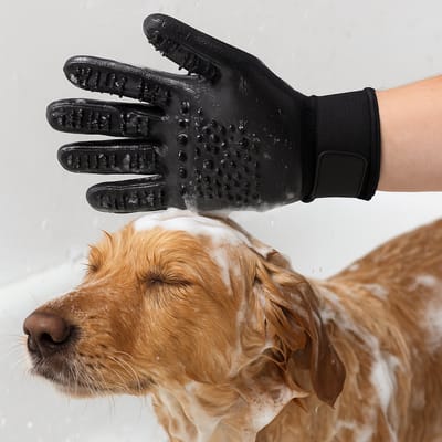 BOTC Huisdierhaar Verwijderaar Handschoen - Voor Katten en Honden - 1 Paar - Zwart