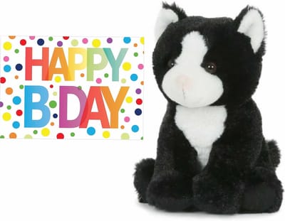 Pluche knuffel kat/poes zwart/wit van 18 cm met A5-size Happy Birthday wenskaart - Verjaardag cadeau setje