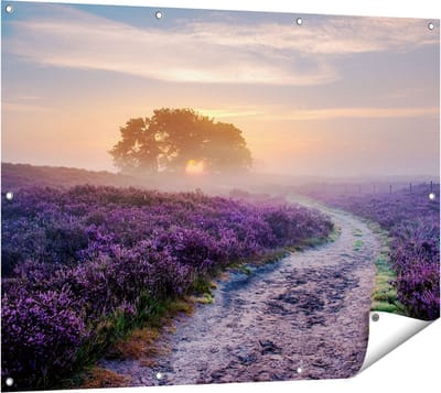 Gards Tuinposter Pad in de Weide van de Veluwe - 120x90 cm - Tuindoek - Tuindecoratie - Wanddecoratie buiten - Tuinschilderij