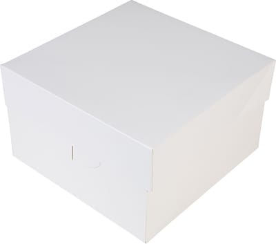 BrandNewCake® Taartdoos - 25x25x15 cm - Taartdoos Karton - Cakedoos - 3 Stuks - Wit