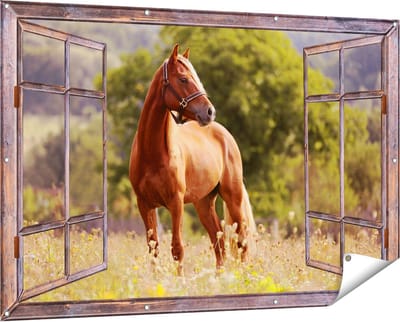 Gards Tuinposter Doorkijk Bruin Paard in de Wei - 150x100 cm - Tuindoek - Tuindecoratie - Wanddecoratie buiten - Tuinschilderij