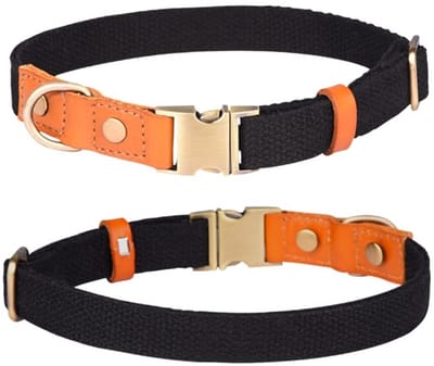 Dailygoody - Nylon halsband - Verstelbaar en comfortabel - Zwart - Hondenhalsband - Geschikt voor kleine middelgrote grote honden - Hoogwaardige
