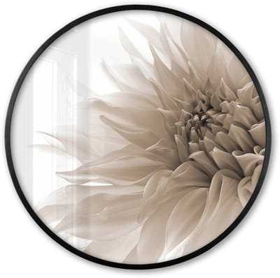 Poster in lijst Rond - Fotolijst 60x60 cm - Posters - Bloemen - Wit - Natuur - Botanisch - Ronde posterlijst zwart - Decoratie - Wanddecoratie woonkamer - Muurdecoratie slaapkamer