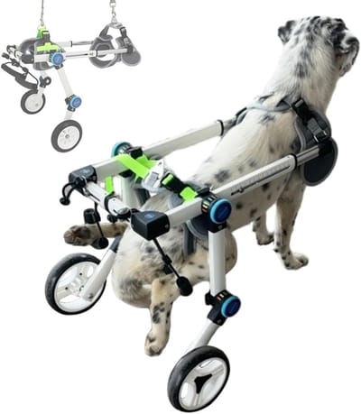 Honden Rolstoel - Hondenkar Pet Buggy - Mobiliteit Verbeteren - Verstelbaar Aluminium Frame - Maat S - Zilver