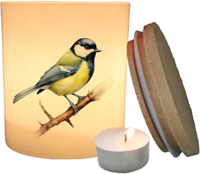 Geurfruit - Waxinelichthouder - Vogel - Koolmees