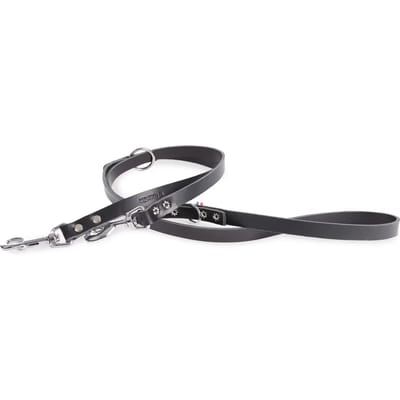 Multikleuren leren hondenriem Martin Sellier 499