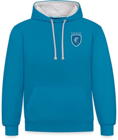 Harry Potter Ravenclaw Logo small Contrast Hoodie