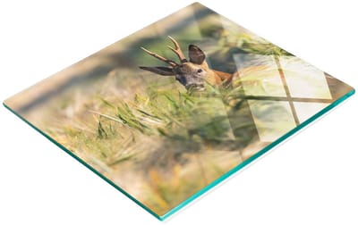 Gehard multifunctioneel decoratief glazen bord met hertenmotief, 60x52 cm