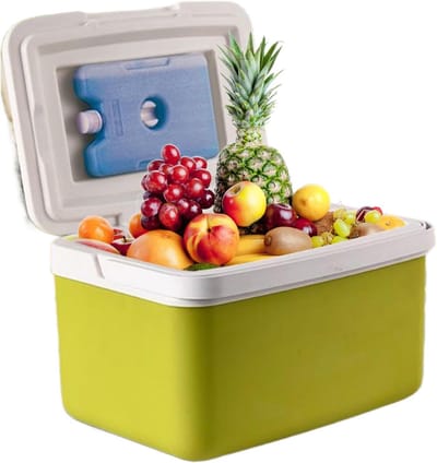 Geïsoleerde Koelbox - Lunchbox Thermos - Picknick Strand Reizen - Draagbaar Handvat Ontwerp - 9L Capaciteit - Meerkleurig