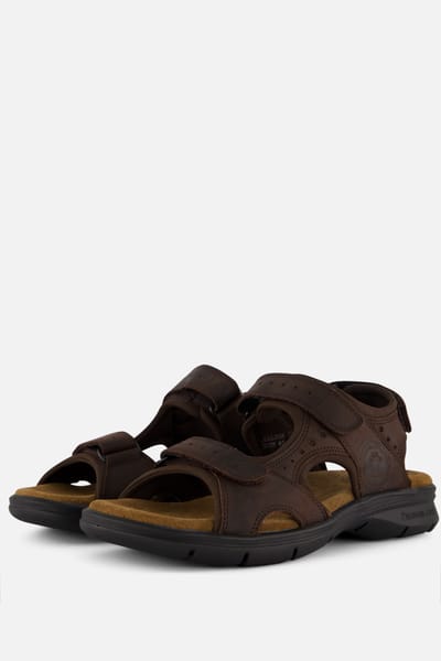 Panama Jack Panama Jack Salton basics C1 Sandalen bruin Leer