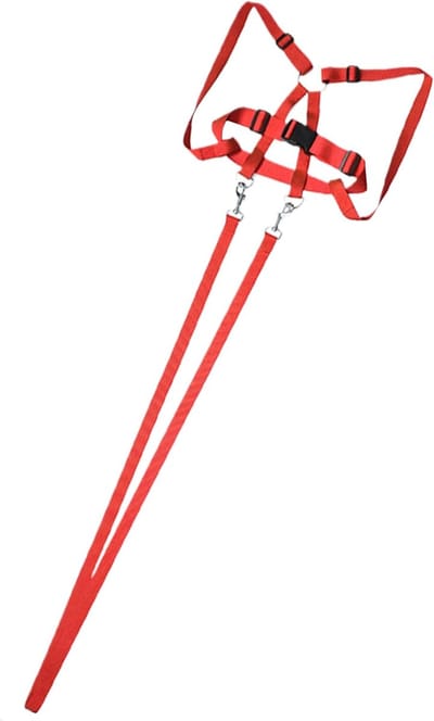 Paardentuig Kinderen - Rijuitrusting Speelset - Rollenspel Buiten - Verstelbaar Riem Systeem - 200 cm Lengte - Rood