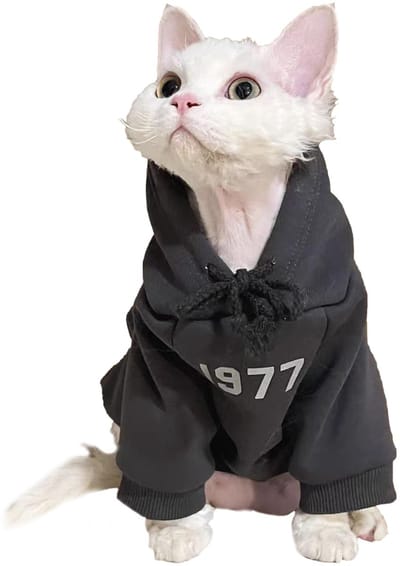 Dailygoods- Kattenkleding Warme Hoodie - Kattenonesie - Kattenjas - Katoenen Sweatshirt - Koude Weer Bescherming - Maat Medium - Huisdierkleding