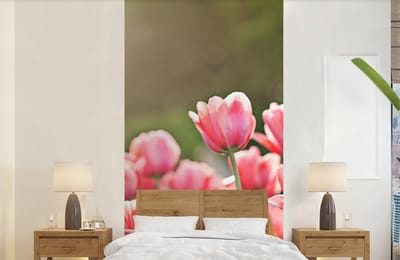 Behang - Fotobehang Tulpen - Zon - Lente - Breedte 120 cm x hoogte 240 cm