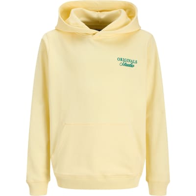 Jack & Jones Junior Hoodie