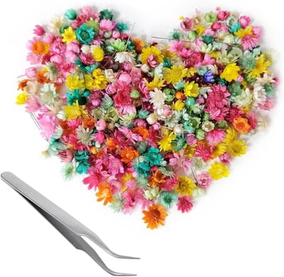 281 Gedroogde Bloemen voor Creatieve Projecten, Decoratie van Geurkaarsen, Zeepmaken, DIY Nail Art en Sieraden