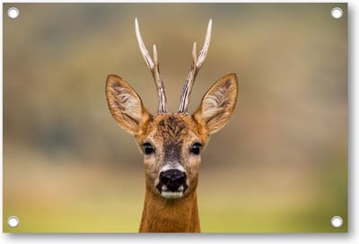 Hert Portret - Tuinposter 120x80 - Wanddecoratie - Dieren