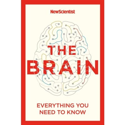 The Brain - New Scientist