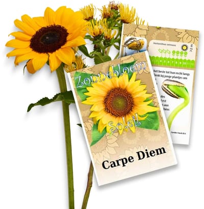 Zonnebloem (Helianthus annuus) - zakjes persoonlijk bedrukt - 100 stuks - Bijen-Vlinders - Snijbloemen - (Ook)-Voor in huis