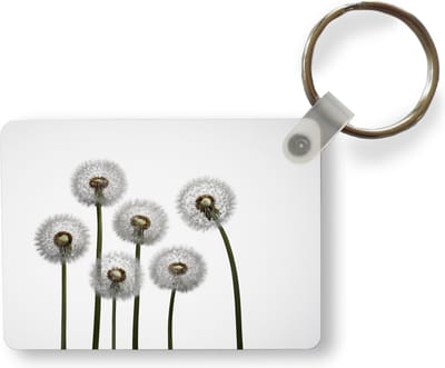 Sleutelhanger - Paardenbloem - Illustratie - Zaden - Uitdeelcadeautjes - Plastic