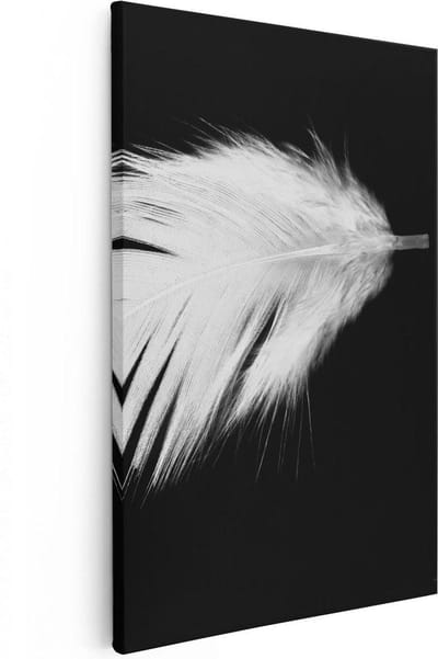 Artaza Canvas Schilderij Veer - 20x30 cm - Klein - Muurdecoratie Stilleven - Wanddecoratie Minimalistisch - Schilderijen Op Canvas