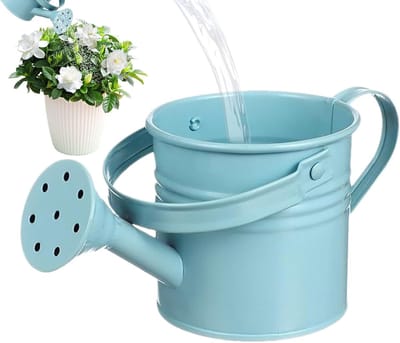 Gieter - Sproeier bloemen - Planten water geven - Roestbestendig ijzer - 6 x 20 x 6 cm - Blauw