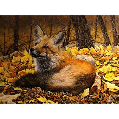 Diamond Painting Vos Diamond Painting Kit Diamond Painting 20X30CM