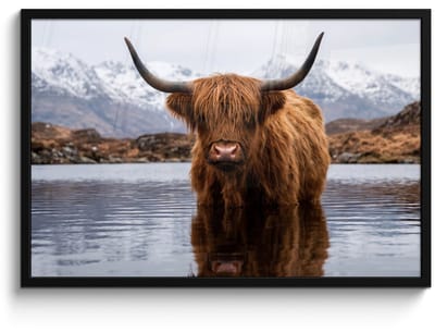 Poster in lijst - Fotolijst 90x60 cm - Posters - Schotse hooglander - Bruin - Water - Posterlijst zwart - Decoratie - Wanddecoratie woonkamer - Muurdecoratie slaapkamer