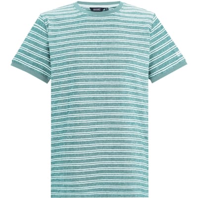 Regatta Heren Benlin Gestreept T-Shirt (Arctisch Wit)
